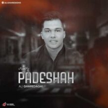 دانلود آهنگ جدید علی قره داقی به نام پادشاه